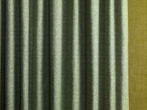 Fermoie Spring 2021 - Curtain in Green Popple POPP-010, Walling in Euphorbia N-122 15.02.49.jpg